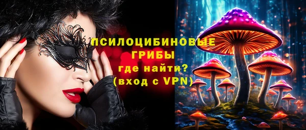 прущая мука Арсеньев