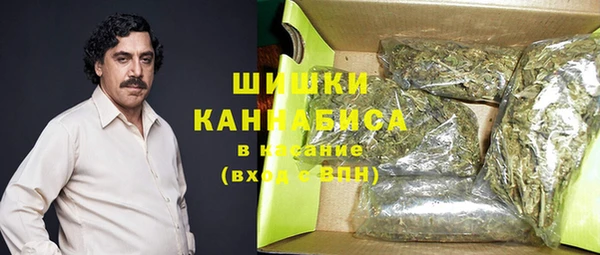 стаф Семилуки
