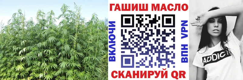 OMG зеркало  Голицыно  Дистиллят ТГК концентрат 
